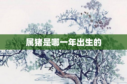 属猪是哪一年出生的