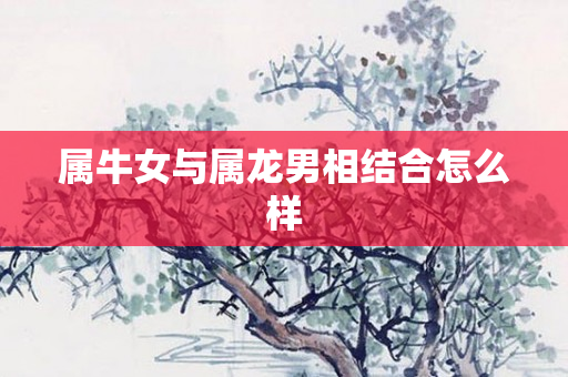 属牛女与属龙男相结合怎么样