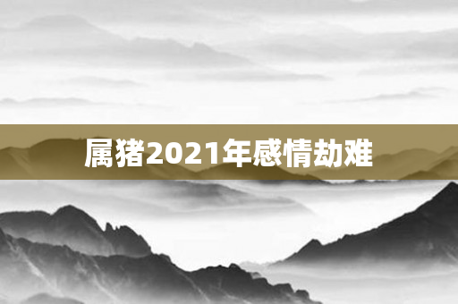 属猪2021年感情劫难