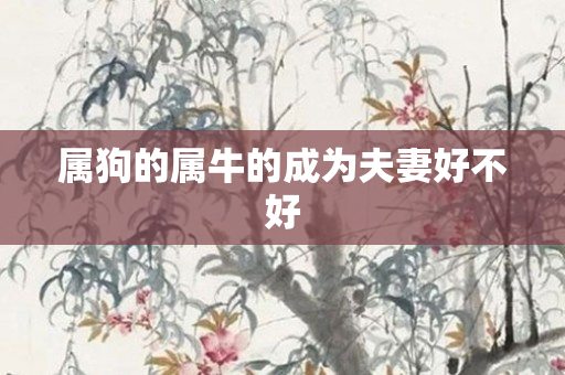 属狗的属牛的成为夫妻好不好