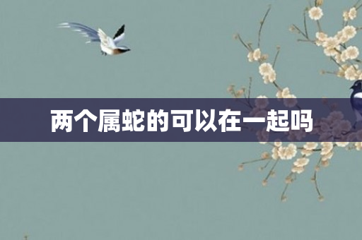 两个属蛇的可以在一起吗