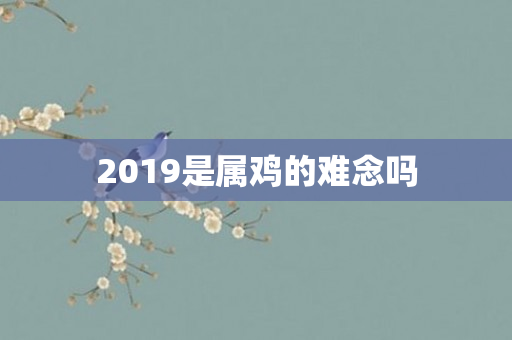 2019是属鸡的难念吗