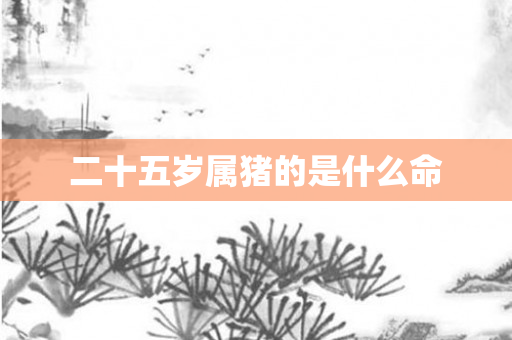 二十五岁属猪的是什么命