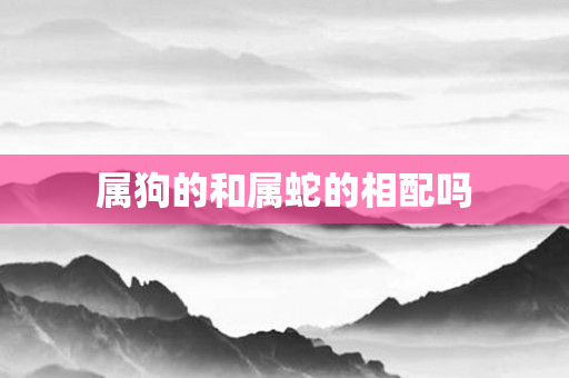 属狗的和属蛇的相配吗