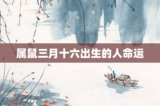 属鼠三月十六出生的人命运