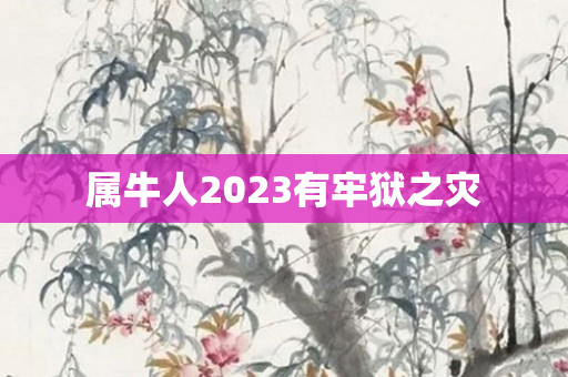 属牛人2023有牢狱之灾