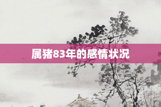 属猪83年的感情状况