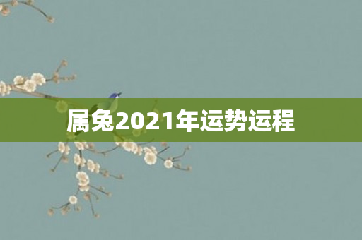 属兔2021年运势运程