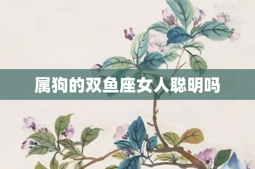 属狗的双鱼座女人聪明吗