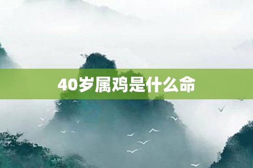 40岁属鸡是什么命