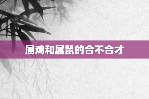 属鸡和属鼠的合不合才