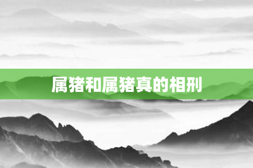 属猪和属猪真的相刑
