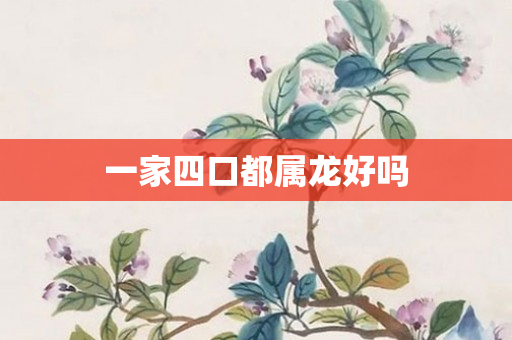 一家四口都属龙好吗