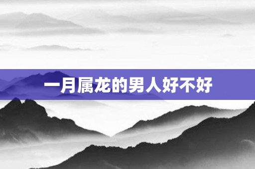 一月属龙的男人好不好