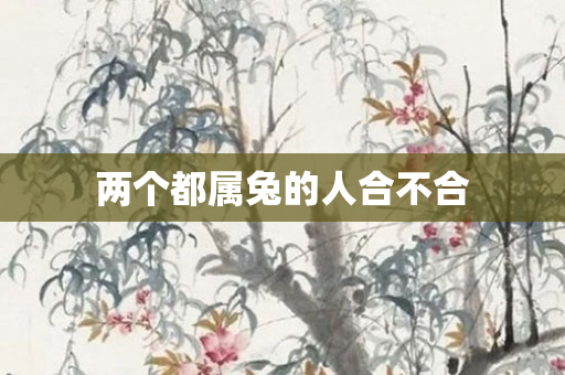 两个都属兔的人合不合