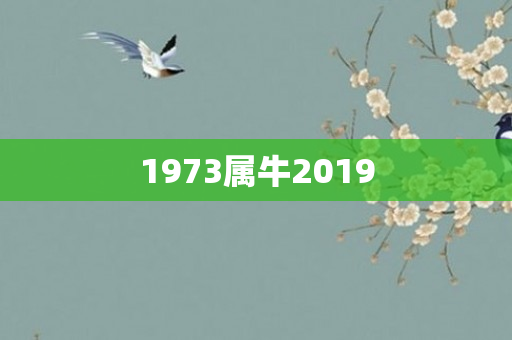 1973属牛2019