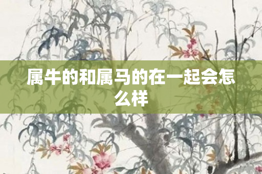 属牛的和属马的在一起会怎么样