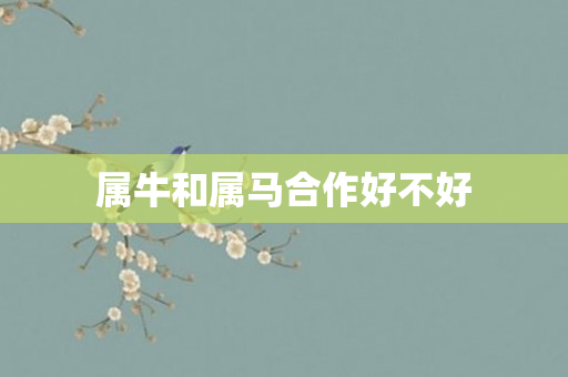 属牛和属马合作好不好