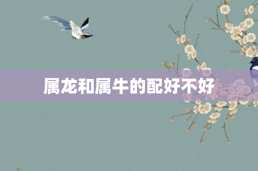 属龙和属牛的配好不好