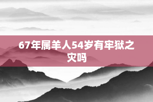 67年属羊人54岁有牢狱之灾吗