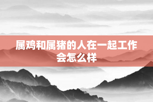 属鸡和属猪的人在一起工作会怎么样
