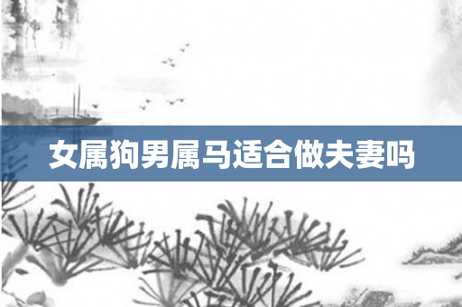 女属狗男属马适合做夫妻吗