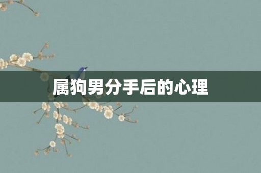 属狗男分手后的心理