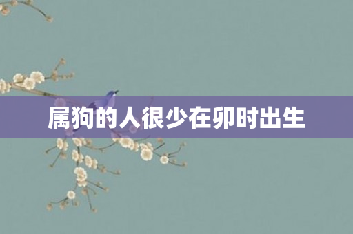 属狗的人很少在卯时出生