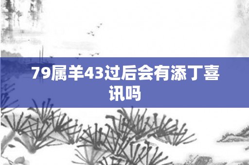 79属羊43过后会有添丁喜讯吗