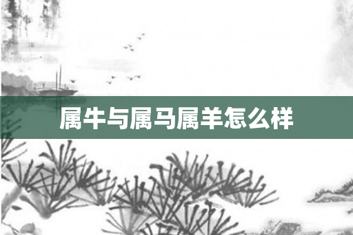 属牛与属马属羊怎么样