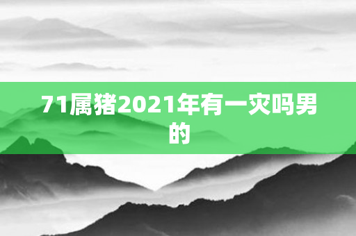 71属猪2021年有一灾吗男的