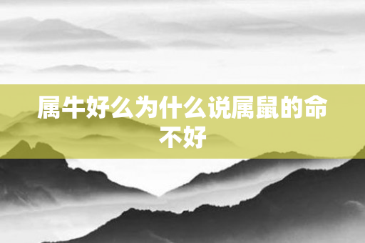 属牛好么为什么说属鼠的命不好