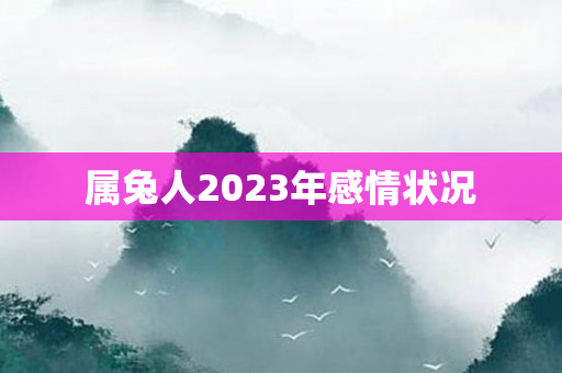 属兔人2023年感情状况