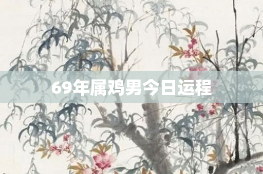 69年属鸡男今日运程