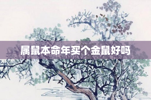 属鼠本命年买个金鼠好吗