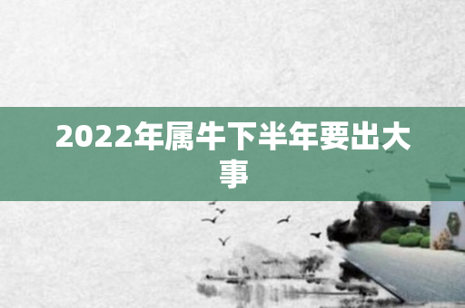 2022年属牛下半年要出大事