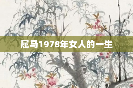 属马1978年女人的一生