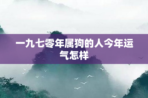 一九七零年属狗的人今年运气怎样