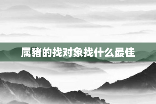 属猪的找对象找什么更佳