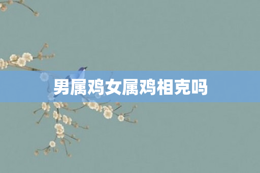 男属鸡女属鸡相克吗
