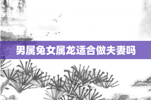 男属兔女属龙适合做夫妻吗