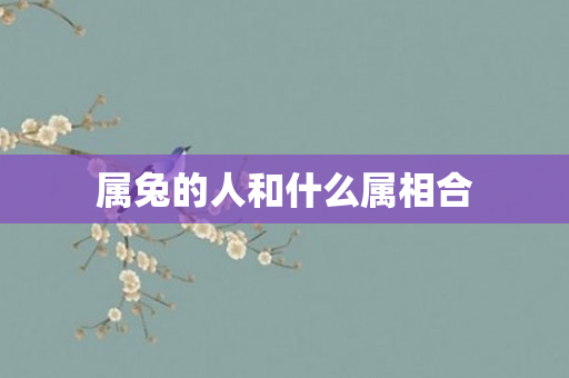 属兔的人和什么属相合