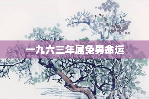 一九六三年属兔男命运