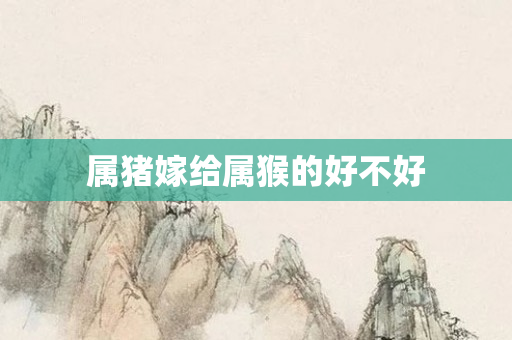 属猪嫁给属猴的好不好