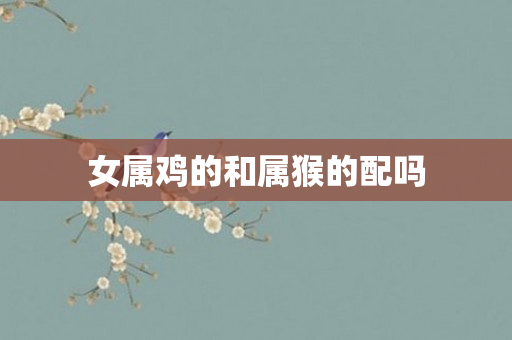 女属鸡的和属猴的配吗