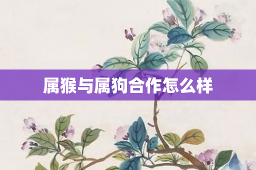 属猴与属狗合作怎么样