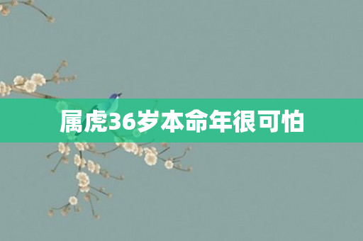 属虎36岁本命年很可怕