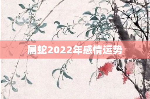 属蛇2022年感情运势