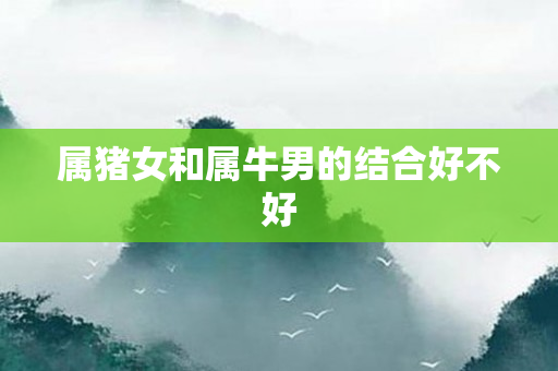 属猪女和属牛男的结合好不好