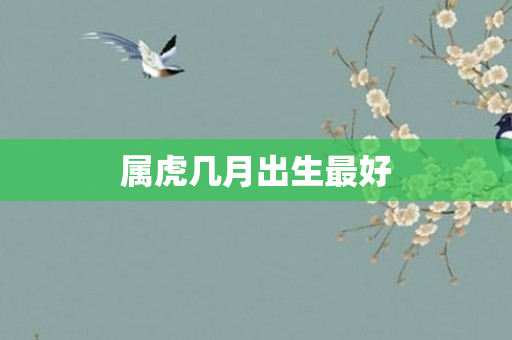 属虎几月出生更好